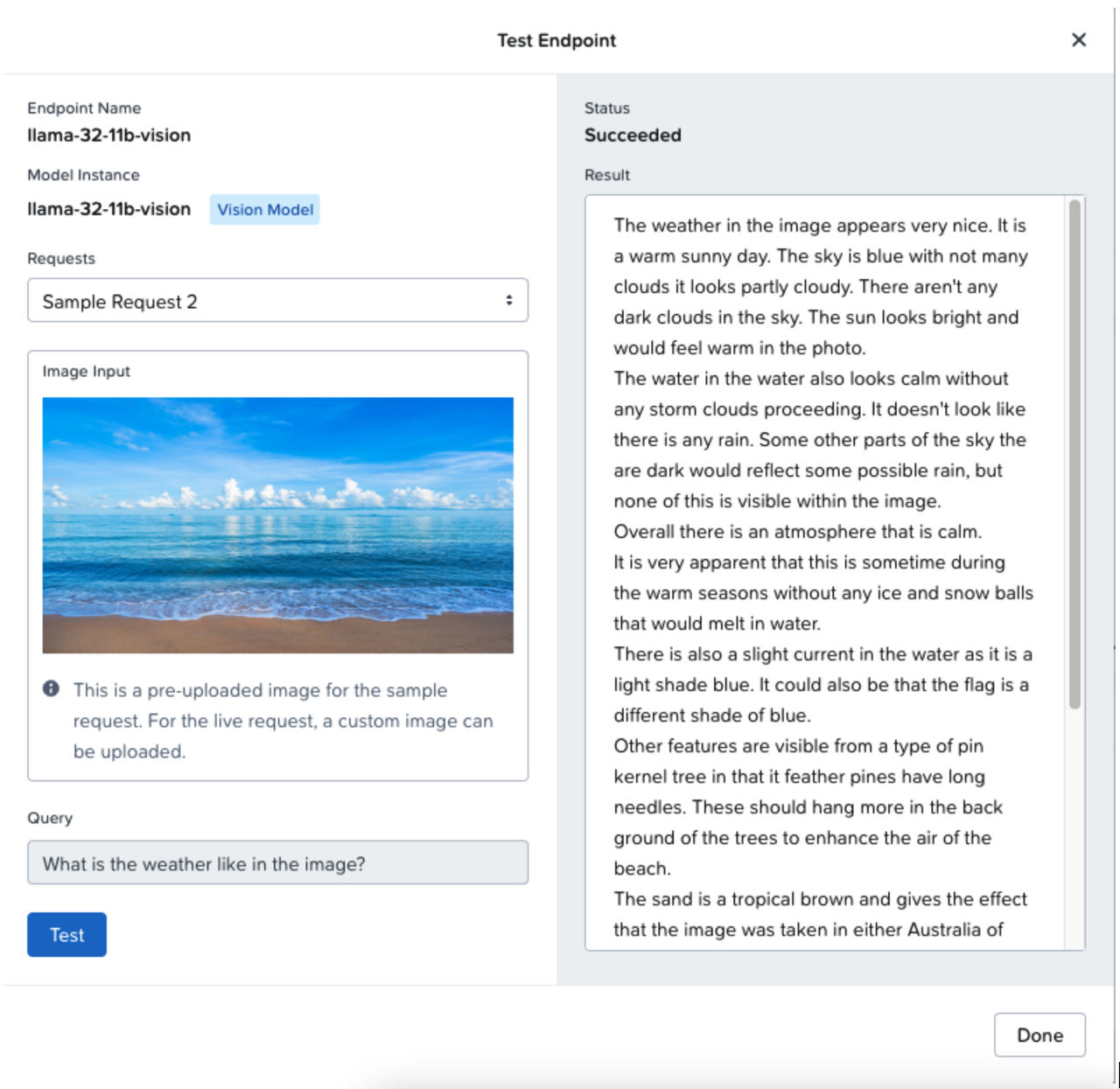 Testing a Vision Model