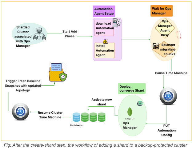 graphic to represent create shard step