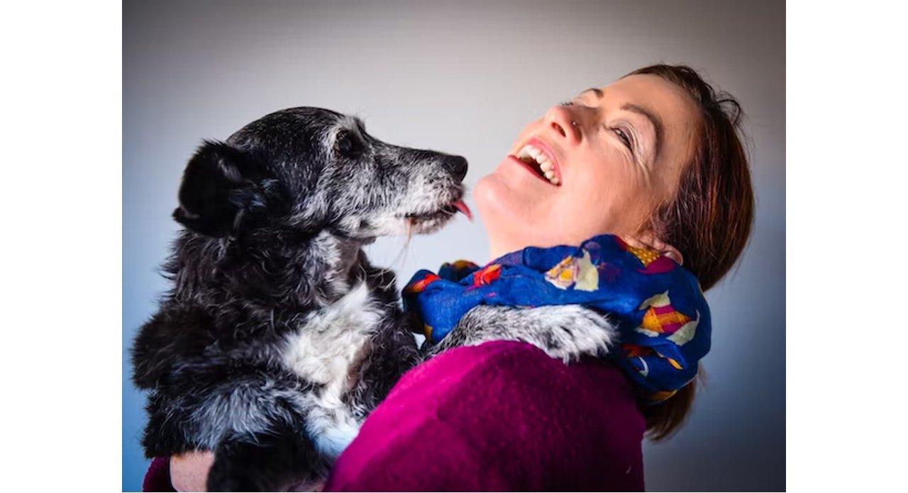 Stock image of dog and woman