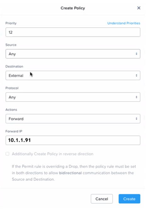 Forward policy options.