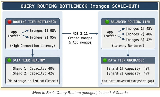 graphic to represent scale query routers