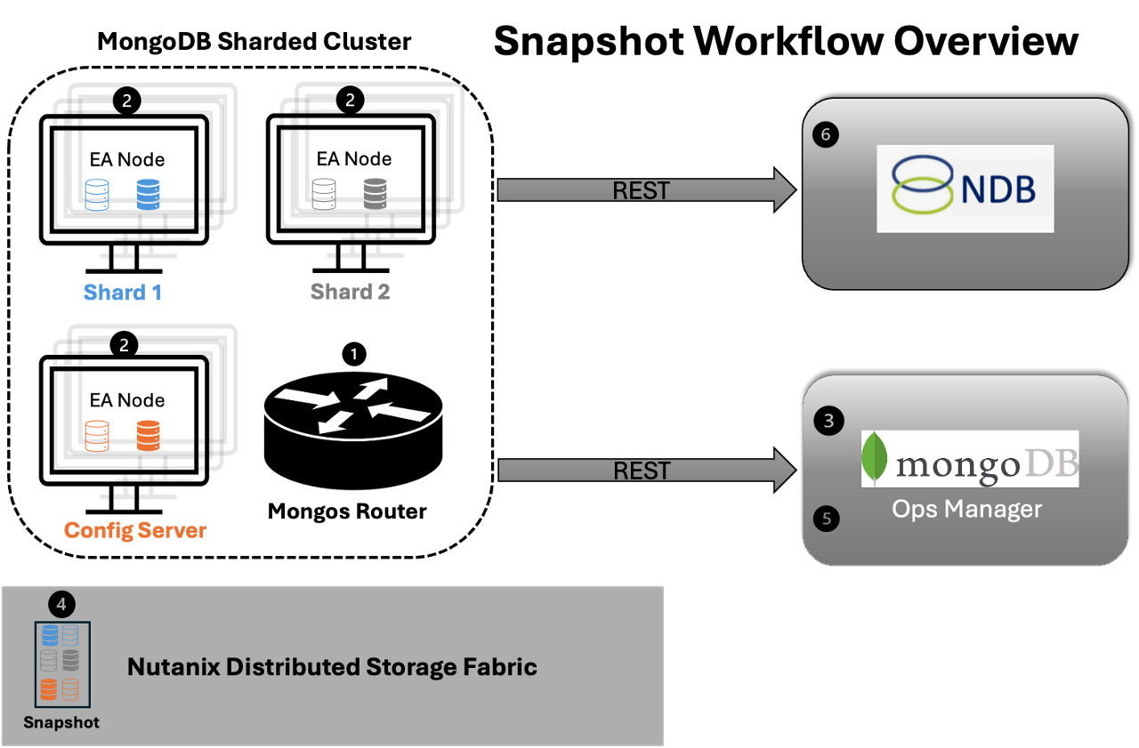 Snapshot Workflow Overview