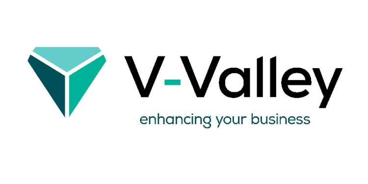 V-Valley Logo