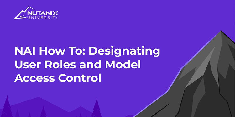 Designating User Roles and Model Access Control | NAI How To