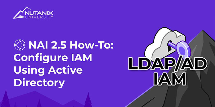 NAI 2.5 How To: Configure IAM Using Active Directory