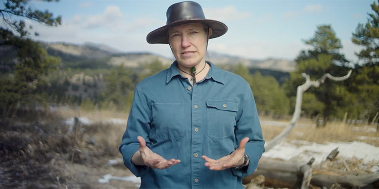 Navigating the Wilderness - Expert Advice for VMware Customers