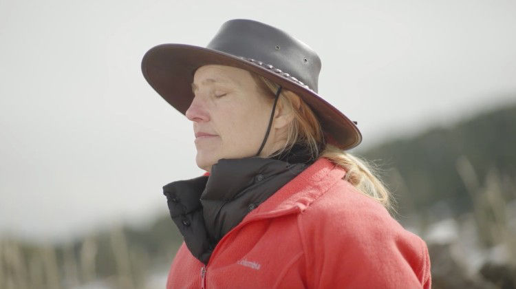 Navigating the Wilderness - Expert Advice for VMware Customers